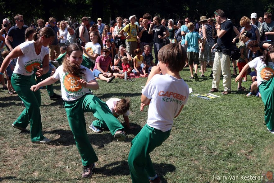Capoeira Houtfestival 2017
