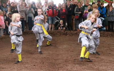 Shaolin Centrum Haarlem